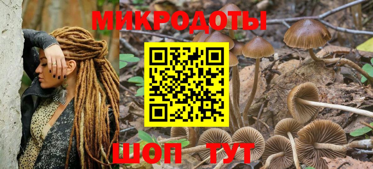Галлюциногенные грибы мухоморы Клинцы
