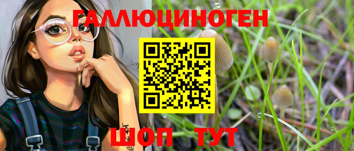 Галлюциногенные грибы GOLDEN TEACHER  Галлюциногенные грибы GOLDEN TEACHER  Вход с VPN  Клинцы 